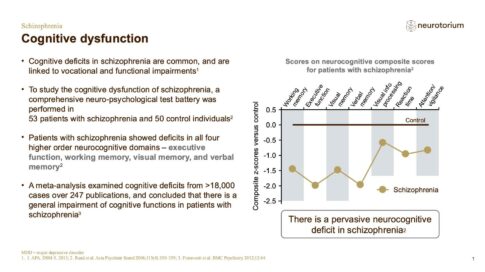 Schizophrenia – Comorbidity – slide 5